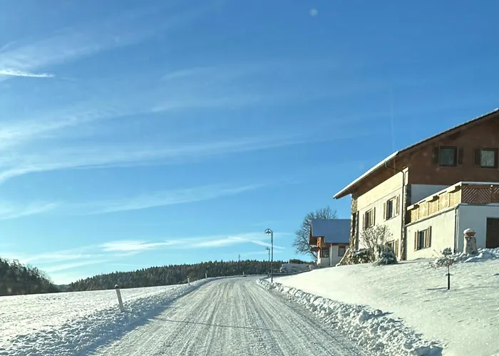 Pensjonat Seelhofer 3*